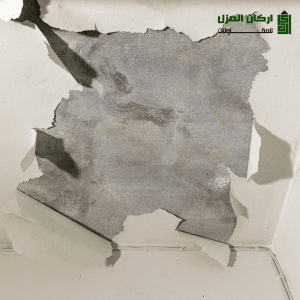 كشف تسربات المياه في شقراء