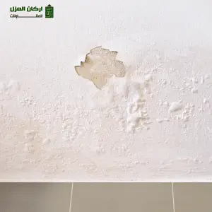 كشف تسربات المياه في عقلة الصقور