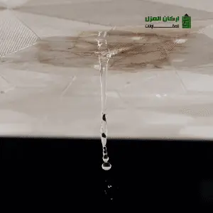 كشف تسربات المياه في عيون الجواء