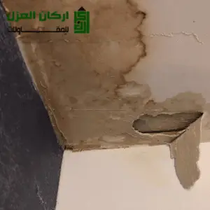 شركة كشف تسربات المياه في الدوادمي بأحدث المعدات